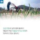 인심이네 이미지