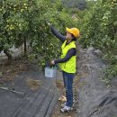 양수농원 이미지