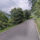 신호등카써비스 이미지