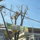 천가초등학교병설유치원 이미지