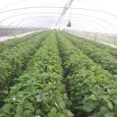 그린레일 이미지