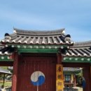 노거수 은행나무 축제의 속삭임 네이버블로그