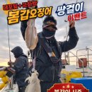 뉴해양호