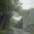 국립회문산자연휴양림 | 순창)시원한 계곡은 덤 국립회문산자연휴양림 굴참나무 후기