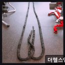 더헬스 앤 피티 네이버블로그