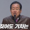 내서재 이미지