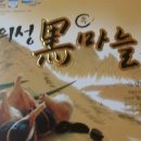 의성흑마늘