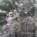 마이종합학습장 이미지