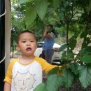 뽕나무갈비촌 이미지