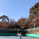 삼청테니스장 테니스장 이미지