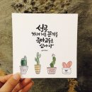 홍익돈까스 - 춘천시 | 홍익돈까스