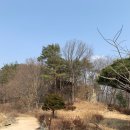 대흥임업 - 1262 | 대흥임업