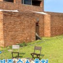 한동리브로콜리 이미지