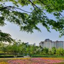 율하체육공원 잔디광장 이미지