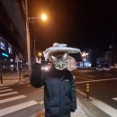 디케이마트 이미지