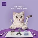 롯데구두방 네이버블로그