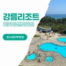 파인모텔 | 라카이샌드파인 리조트 강릉 수영장 트리오 오션뷰 사우나 후기
