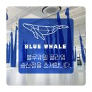 블루웨일플라잉센터송산점
