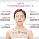 닥터화이트