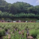 허브아일랜드민박 이미지