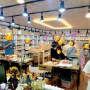 미니펫스토리 이미지