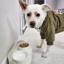 서린춘천 이미지