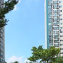 뉴훼미리공인중개사사무소 이미지