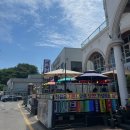 [당진] 해물 칼국수 ‘태공수산’ 왜목마을 바다뷰 내돈내산 솔직후기
