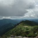 가지산약국 Daum카페