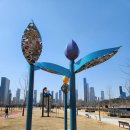 생성-꽃이피다 이미지