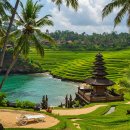 발리(BALI) 이미지