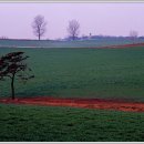 번개목장 이미지