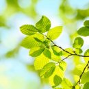 당뇨병과 건강관리 이미지