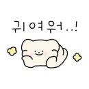 노벨문구사