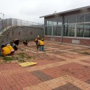 벌교게이트볼장 이미지