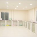 애견천사들 이미지