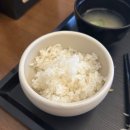 우재카츠 이미지