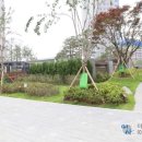 운동장 치안센터 앞 이미지