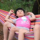 효민농장 이미지