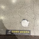 로띠번(가야점) | [UUU카페] 김해 애견동반 카페! 가족이랑 가기 좋은 드라이브 코스 김해 대형 카페 추천:)