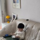 보라티비(주) | 1월19일 - 1월 25일 / 아데노바이러스 결막염 후기