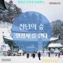 오송역태양공인중개사사무소 | 진부면 프라이빗 캠핑. 전원주택. 카페. 수양관.영농형 태양광 ( 별이 쏟아지는 숲과 계곡을 품은 토지)