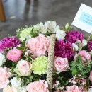 인터메세항공 네이버블로그