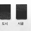 도시와시골