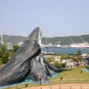 울산광역시남구도시관리공단(장생포고래생태체험관) 이미지