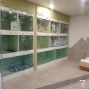 24시애견미용 이미지