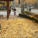 가마산로49길 이미지