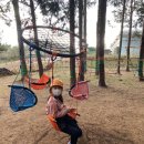 준영목장 이미지