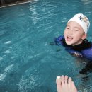 휘닉스명진 이미지