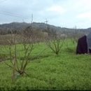 냉천농장 이미지